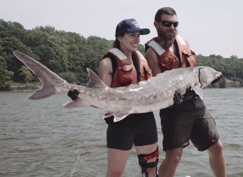 Two people holding a sturgeon